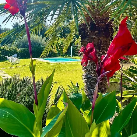Strelitzia's House With Heated Pool From December 2024, Private Garden And Private Parking & Wi-fi Avola